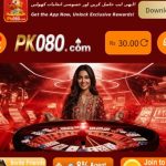 PK080 Game