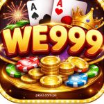 WE999 Game