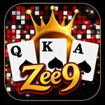 ZEE9 Game
